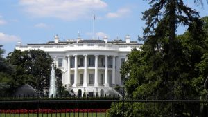 Nicki Minaj Dazzles at White House Dinner Gala