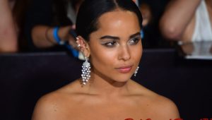 Love in the Air: Harry Styles and Zöe Kravitz Announce Engagement