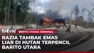 Polisi Berhasil Mengejar Pelaku Penambang Liar ke Hutan | Berita Terbaru Kriminal