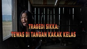 Kisah Tragis di Sikka: Kisah Kematian di Tangan Kakak Kelas | Berita Utama Kriminal