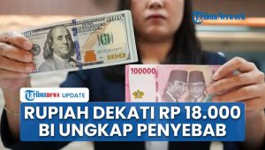 Penyebab Utama Rupiah Tertekan Dekati Rp18.000 per Dolar AS: Analisis BI