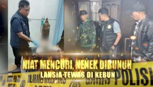 Tragedi Mencuri di Kebun: Nenek Dibunuh, Lansia Tewas – Berita Utama Kriminal