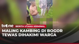 Maling Kambing Dihajar Warga Hingga Tewas, Pelaku Juga Melukai Korban | Berita Utama Kriminal
