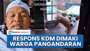 Warga Pangandaran Menggemaskan, Hewan Peliharaan Diberi Sebutan ‘KDM’ oleh Dedi Mulyadi
