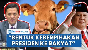 Dasar Hukum Sapi Kurban Prabowo dari APBN: Kepedulian Habiburokhman kepada Rakyat