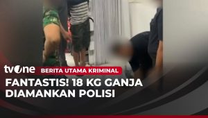 Operasi Pemberantasan Narkoba Terbesar Tahun Ini: 18 KG Ganja Disita dari Bandar Besar