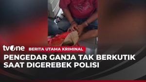 Operasi Tertangkap: Kronologi Detik-detik Penangkapan Pengedar Ganja