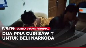 Aksi Maling Sawit di Kampar Berujung Babak Belur: Warga Berikan Hukuman Kepada Pelaku