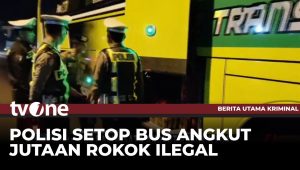 Rute Bus Pariwisata Sampang: Membawa Jutaan Batang Rokok Ilegal di