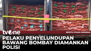 Mengungkap Aksi Ilegal: 14 Kontainer Bawang Bombay Tanpa Izin Dirusak